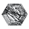 Black Rutilated Quartz
