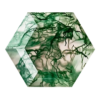 Moss Agate